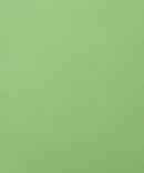 HEAVY COTTON SATIN SWISS SILK PISTA GREEN