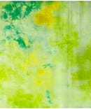 GREEN BATIK MUL SILK DISCHARGE PRINT