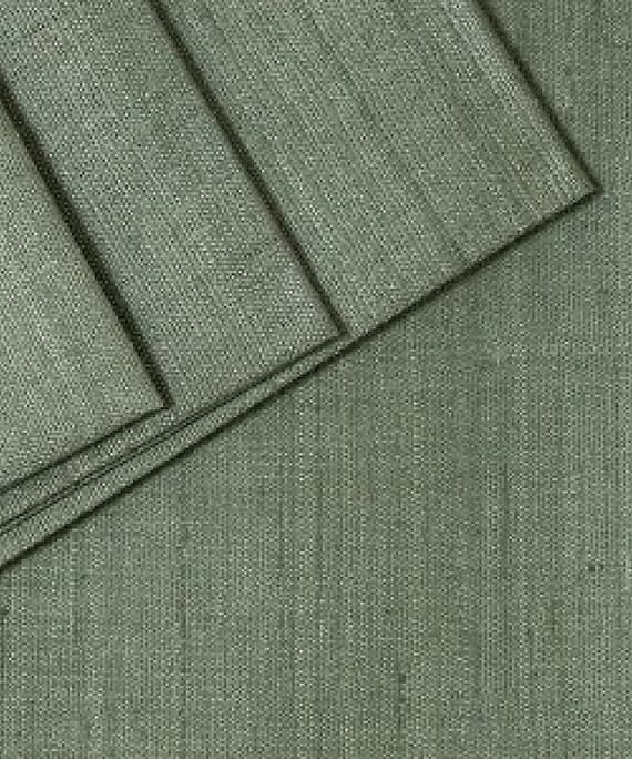 PURE DOUBLE MATKA SILK PLAIN LIGHT GREEN FABRIC